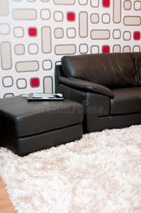 房间 公司 房子 住宅 奢侈 流行的 设想 沙发 豪华 小地毯