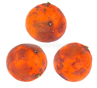 水果坏坏橘子照片