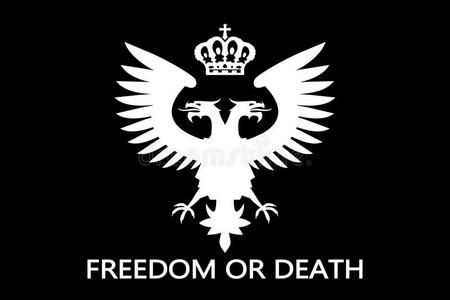 雕像圣彼得堡赫米塔格的双头鹰俄罗斯双头鹰国徽国家标志皇家符号双头