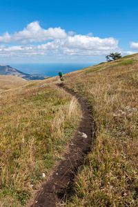 山间步道