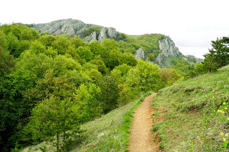 山景美景