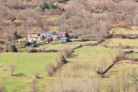 小村庄和草地