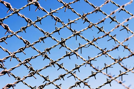 带刺铁丝网照片