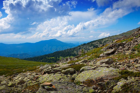 山景