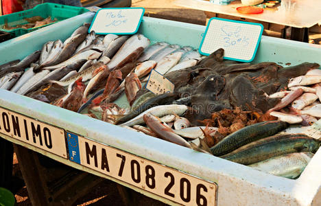 法国马赛的鱼市照片