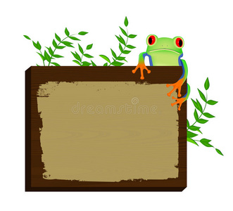 树蛙坐在木头背景上