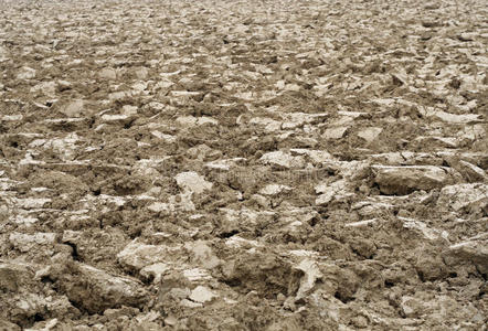 土块可耕地的褐色土块照片