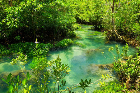 根和水晶流