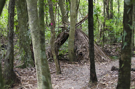 荒野生存废墟小屋