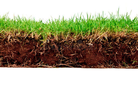 泥土的颜色图片