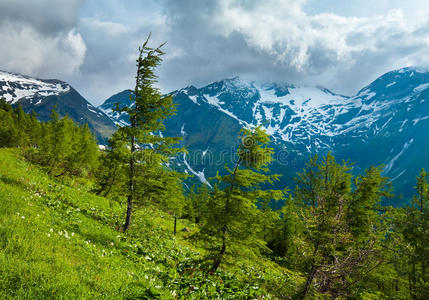 阿尔卑斯山夏季景观