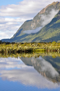 mirror lakes，milford sound新西兰