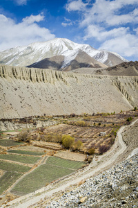 喜马拉雅山春季全景图