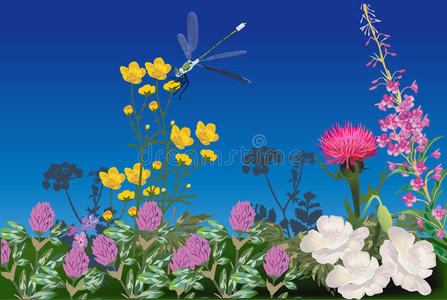 花坛蜻蜓图图片