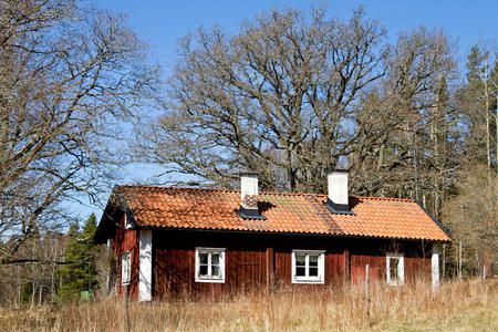瑞典的老别墅。