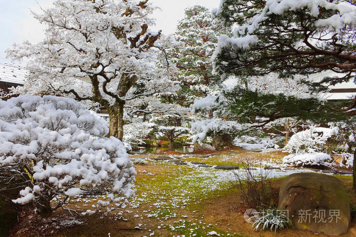 冬季日本花园