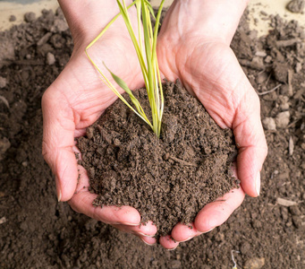 土地泥土沙土图片