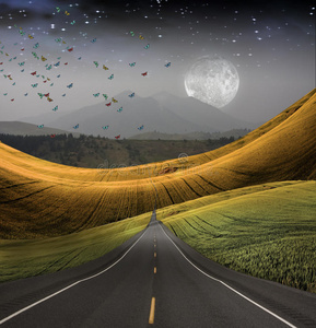 漫长的路伸向远方空路消失在远方通往远方的路通往远方的柏油路