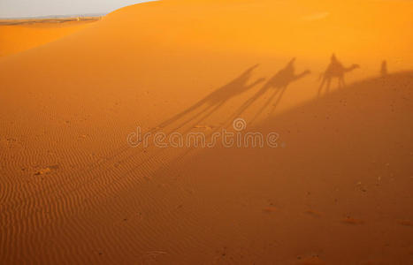 沙丘上的影子