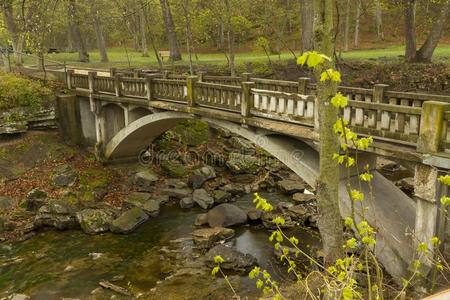 明尼苏达州 人行天桥 自然 美丽的 小鱼 公园 风景 春天