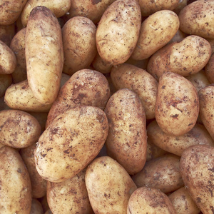 生土豆，食物背景