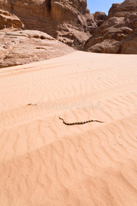 黄色沙丘沙漠上的贝都因珠