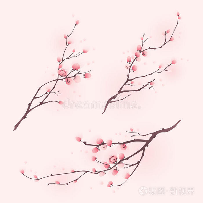 东方画派，春天樱花盛开