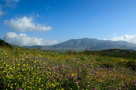 山谷风景，西西里岛