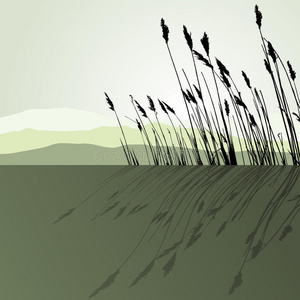 环境 季节 生长 形象 反射 草地 地区 植物 地平线 插图