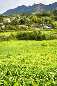 菲律宾山村