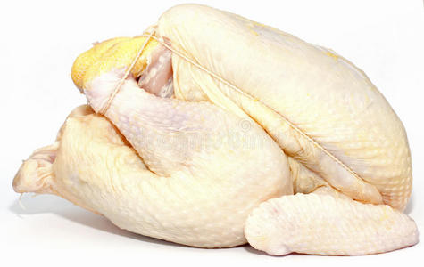 鸡吃米玉米鸡照片