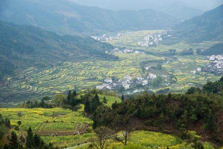 中国农村田野景观