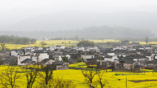 中国乡村景观