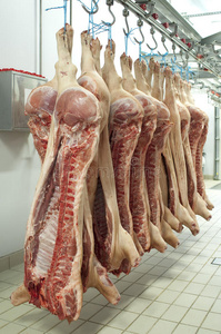 吊龙肉猪肉吊照片