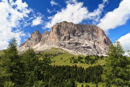 意大利语 意大利 栀子花 全景图 夏天 美丽的 岩石 旅行