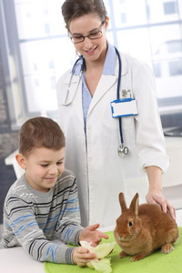 在宠物诊所喂兔子的微笑男孩