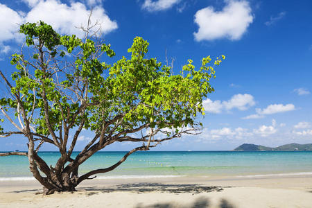 地中海海滩