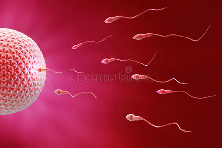 精子冷冻图片