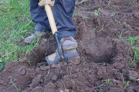 人工挖地准备种植