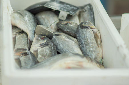 超市冷鲜区超市里冰面上的鲜冷鱼照片