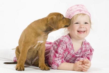 美丽的 宝贝 小孩 犬科动物 持有 食肉动物 饲养员 活动