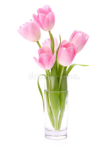 粉红色郁金香花瓶