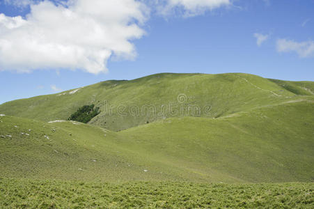 青山径景观。