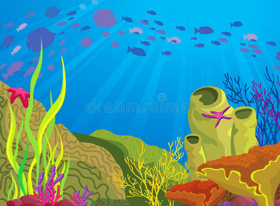彩色珊瑚礁与鱼群