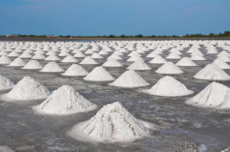 泰国的盐田。