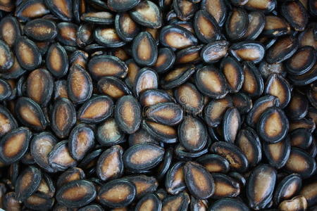 西瓜籽图片-西瓜籽素材-西瓜籽插画-摄图新视界