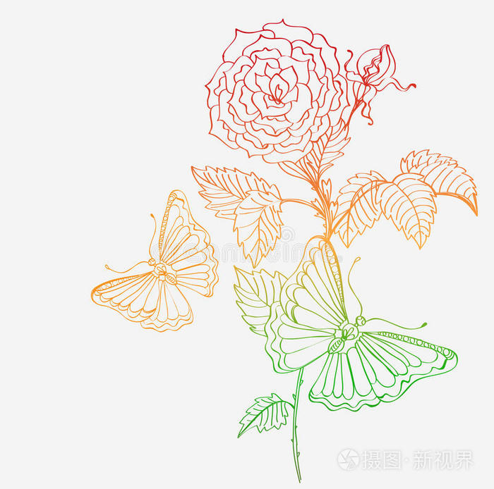 浪漫的玫瑰蝴蝶涂鸦背景