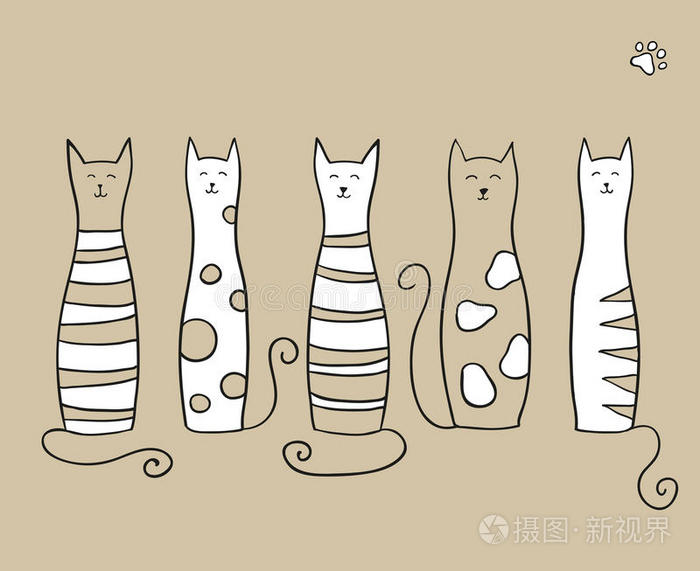 五只猫