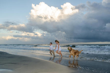 孩子们在海滩上玩狗