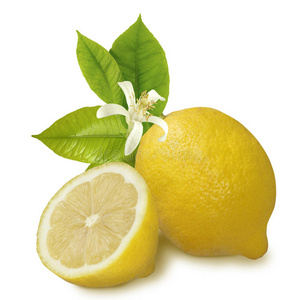 柠檬和柠檬片